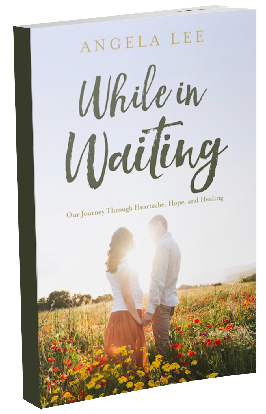 While in waiting book cover